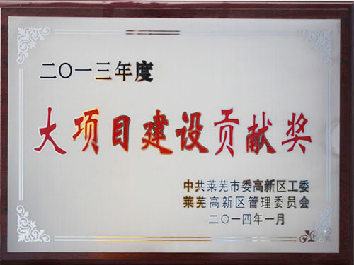 大項(xiàng)目建設(shè)貢獻(xiàn)獎